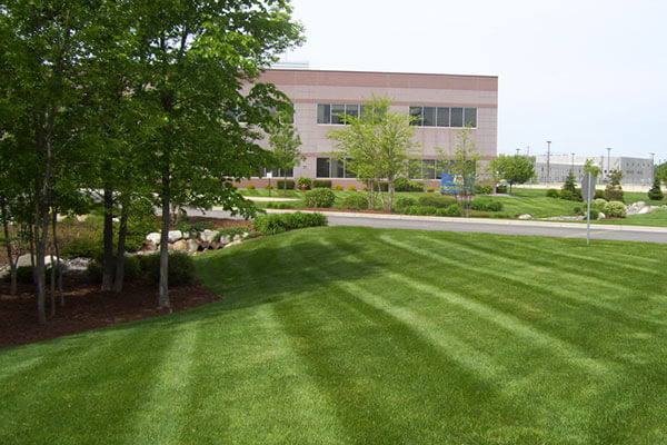 retail landscaping lawn maintenance contractors Downsview Ontario